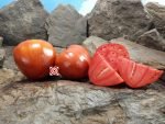 Homer's German Oxheart Tomato