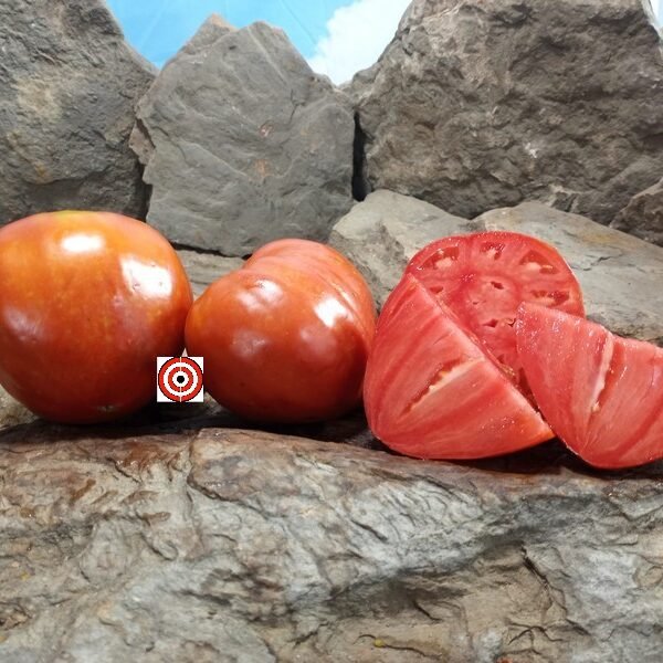Homer's German Oxheart Tomato