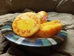KBX Orange Tomato
