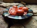 Maiden's Fire Beefsteak Tomato
