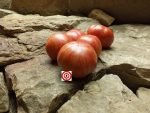 Maiden's Fire Tomato