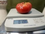 Missouri Love Apple Tomato.