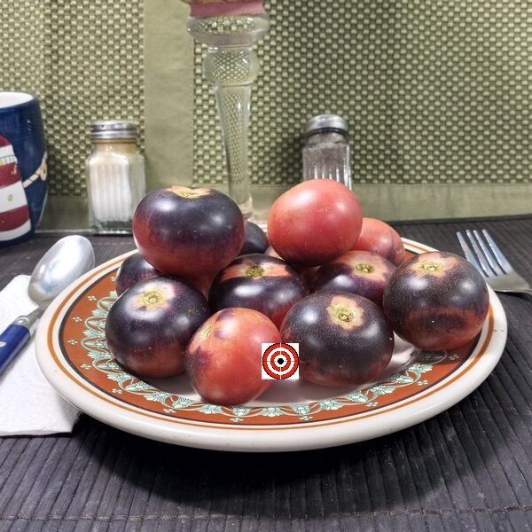 Ozark Sunset Tomato Cherry Tomatoes.