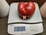 Pinky Tuscadero Tomato Beefsteak