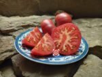 Pinky Tuscadero Tomato Seeds