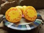 Potato Leaf Tomato KBX