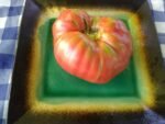 Sara Black aka Schwarze Sarah Tomato