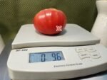 Sara Black aka Schwarze Sarah Tomato Seeds