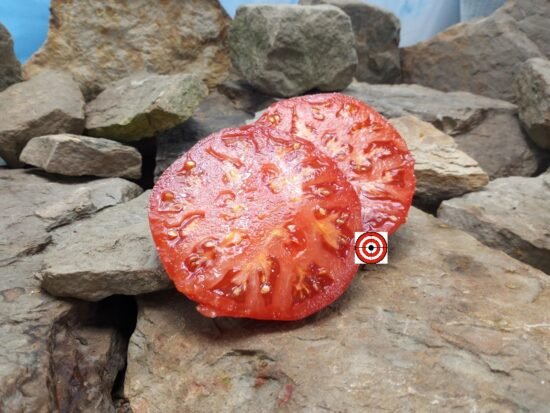 Trucker's Favorite Tomato.
