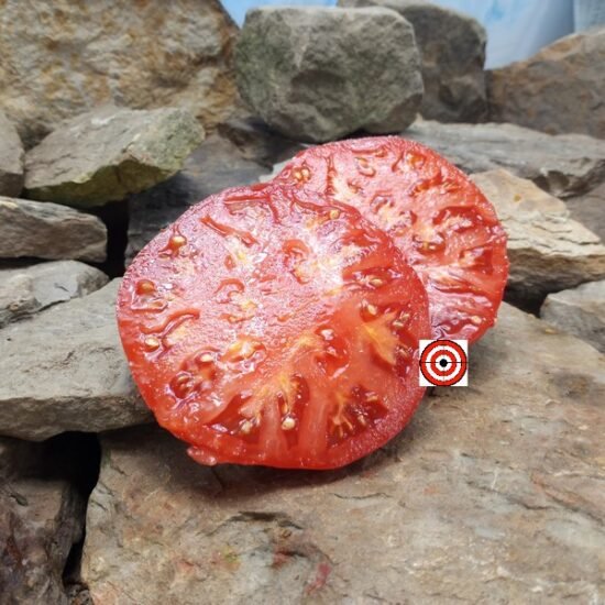 Trucker's Favorite Tomato.