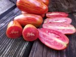 Cassidys Folly striped salad tomato