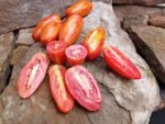 Cassidy's Folly Tomato