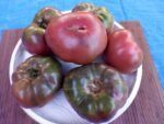 DB Cooper Tomato Dark Tomato seeds