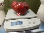 DB Cooper Tomato Giant Black Tomato Seeds