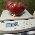 DB Cooper Tomato Giant Black Tomato Seeds