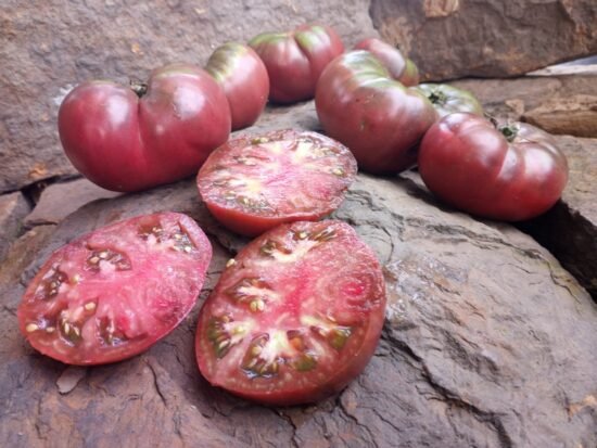 D.B. Cooper Tomato-Bounty Hunter Seeds-Millard Murdock Seeds