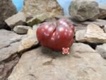 DB Cooper Tomato by Millard Murdock Tomato Seeds