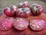 DB Cooper Tomatoes