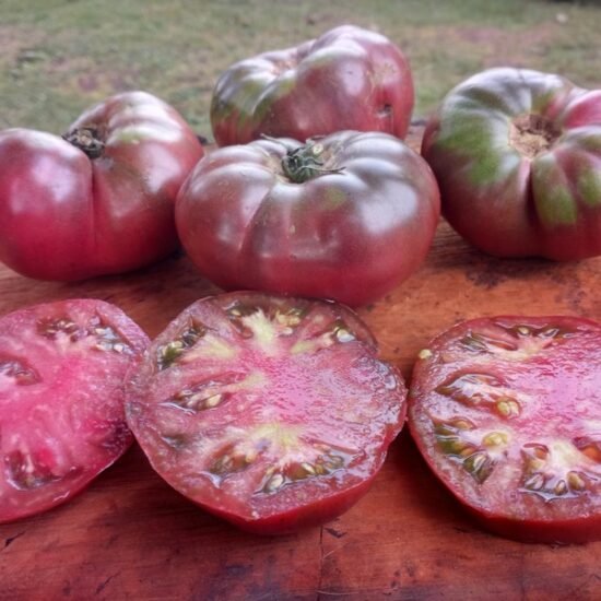 Slicing Tomatoes