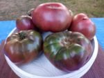DB Cooper Tomato heirloom Tomato seeds