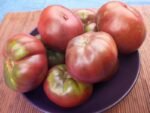 DB Cooper Tomato red