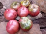 DB Cooper Tomato sandwich tomato