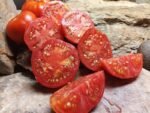ETHEL WATKINS BEST RED HEIRLOOM