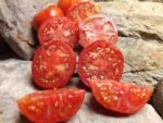 ETHEL WATKINS BEST TOMATOES