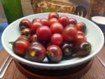 Fahrenheit Blues Tomato - Image 5