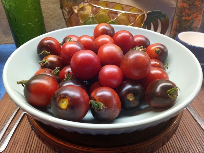 Fahrenheit Blues Tomato Seeds
