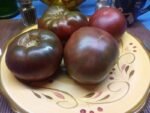Gerig Dark Tomato