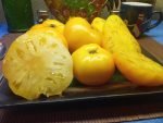 Jackass Yellow Dwarf Slicing tomato