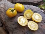 Lemon Lean Tomato - Image 2