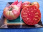 McMurray #10 Tomato - Image 7