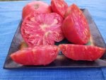 McMurray #10 pink tomato