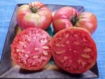 McMurray #10 tomato seeds