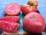 McMurray#10 sandwich tomato