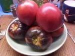 Sgt Pepper Tomato - Image 13