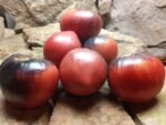 Sgt Pepper Tomato Seeds
