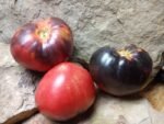 Sgt Pepper purple Tomato