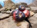 Sgt. Pepper Tomato Seeds.