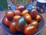 Shadow Boxing Type 4 Tomato