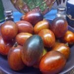 Shadow Boxing Type 4 Tomato