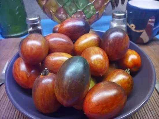 Shadow Boxing Type 4 Tomato
