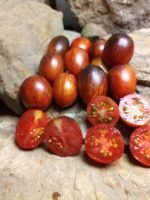 Shadow Boxing Type 4 Tomato Seeds