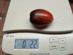 Shadow Boxing Type 4 Tomato - Image 4