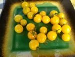 Snow White Cherry Tomatoes