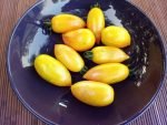 Sweet Cream Tomato