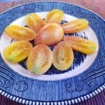 Sweet Cream cherry striped