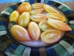 Sweet Cream Tomato - Image 7
